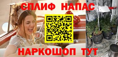 соль ск Будённовск