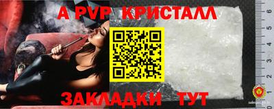 стаф Бузулук