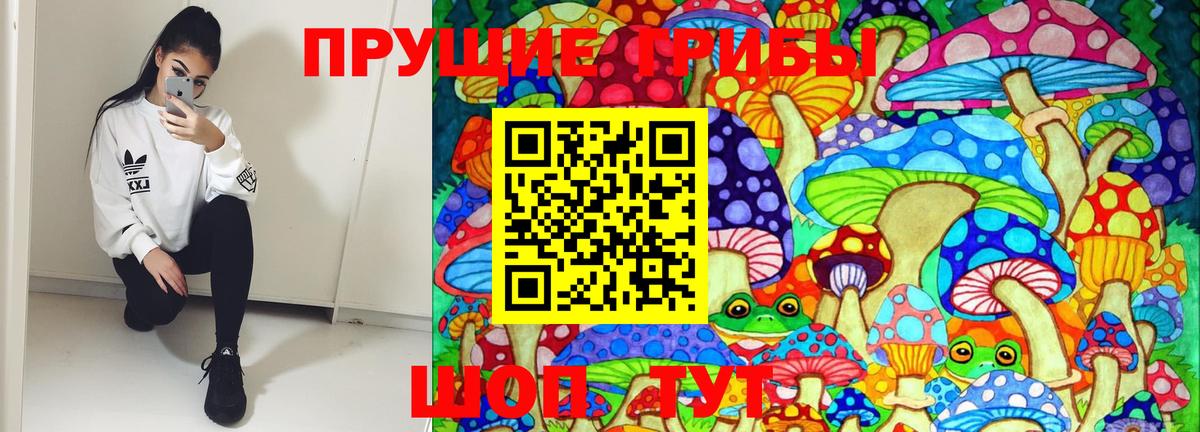 Красноперекопск  Галлюциногенные грибы GOLDEN TEACHER  Галлюциногенные грибы GOLDEN TEACHER  Вход с VPN 