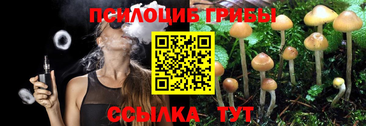 Псилоцибиновые грибы Cubensis Красноперекопск